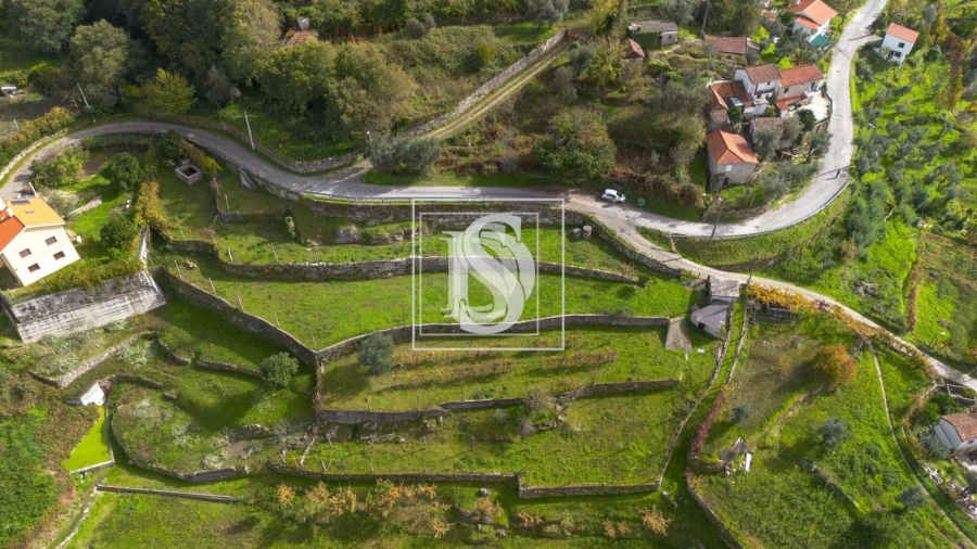 Terreno para Venda em Jazente Foto 7
