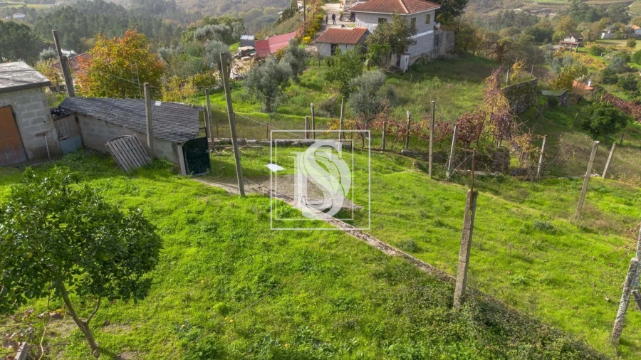 Terreno para Venda em Jazente Foto 19