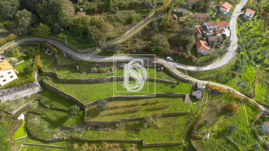 Terreno para Venda em Jazente Foto 8