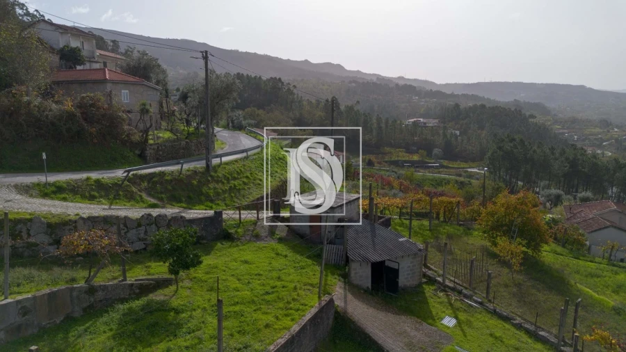 Terreno para Venda em Jazente Foto 12