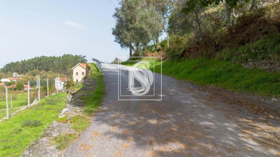 Terreno para Venda em Jazente Foto 21