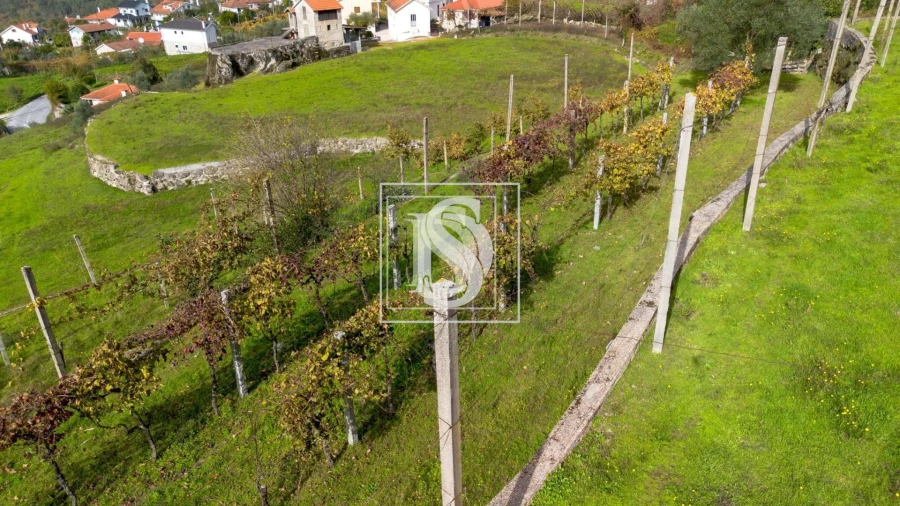 Terreno para Venda em Jazente Foto 20