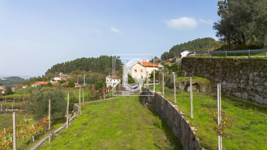 Terreno para Venda em Jazente Foto 18