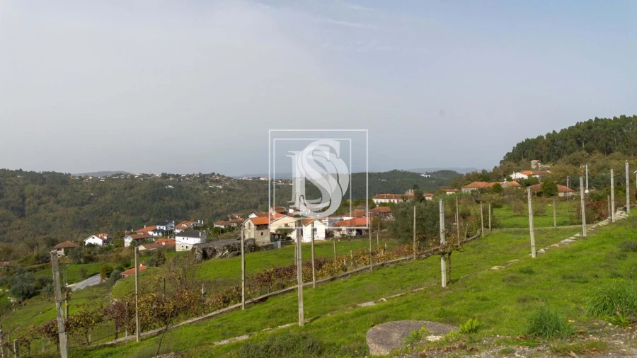 Terreno para Venda em Jazente Foto 6