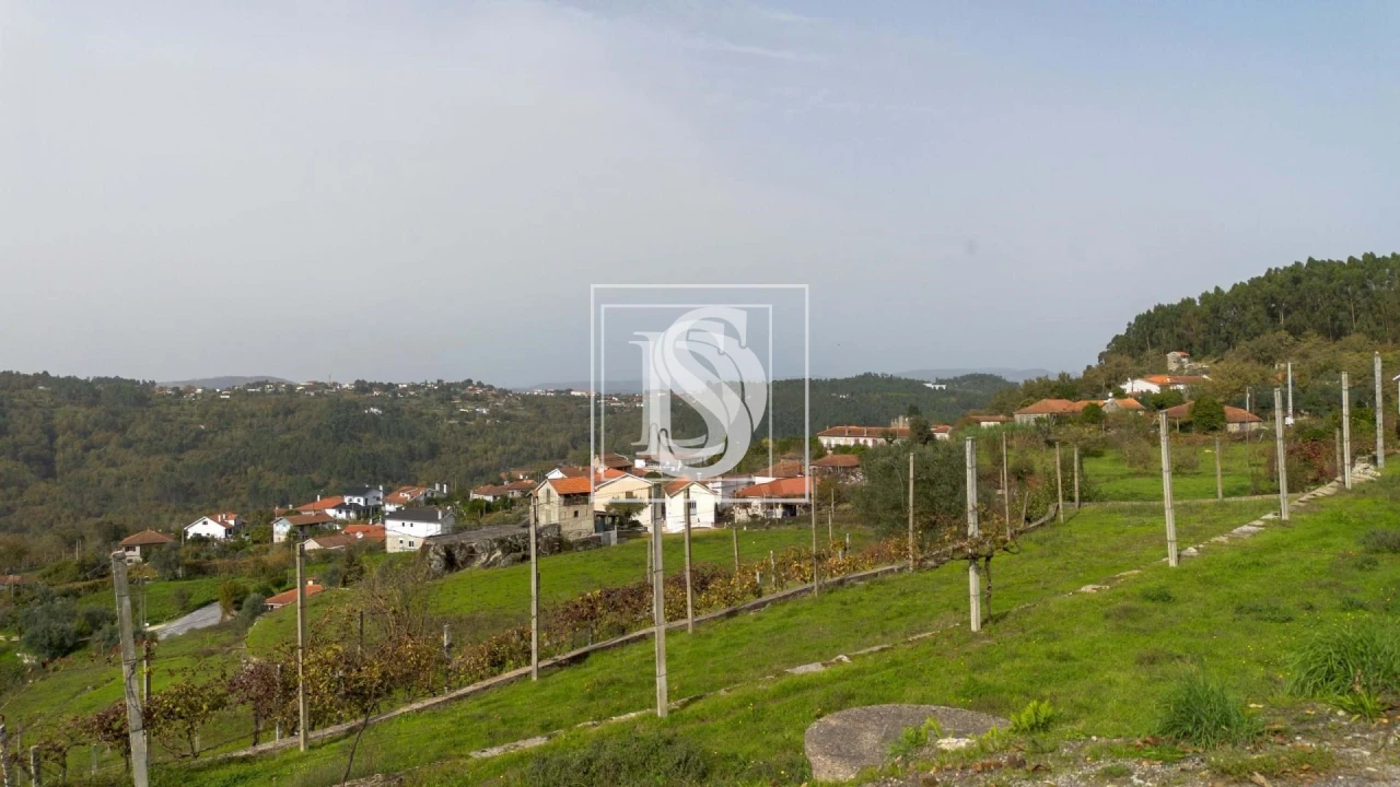 Terreno para Venda em Jazente Foto 6