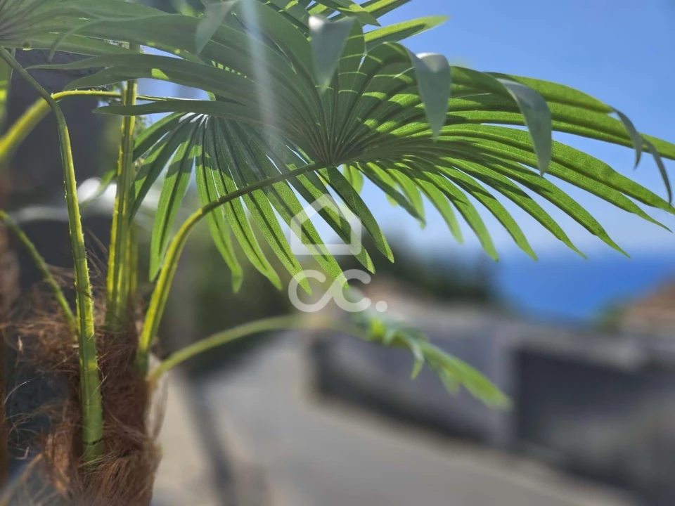 Moradia T2 para Venda em Povoação Foto 11