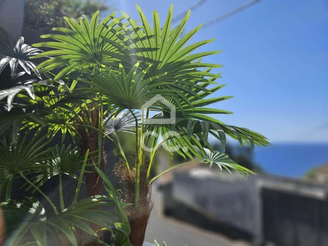 Moradia T2 para Venda em Povoação Foto 11