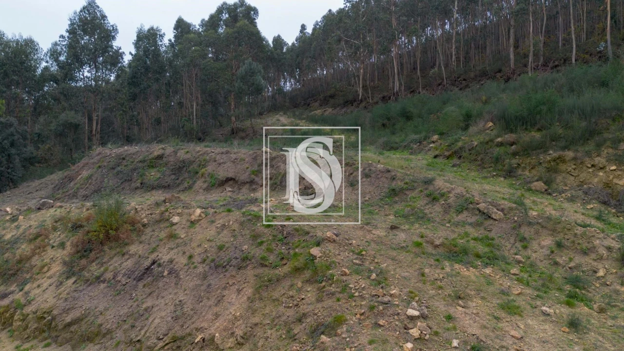 Terreno para Venda em Vandoma Foto 23