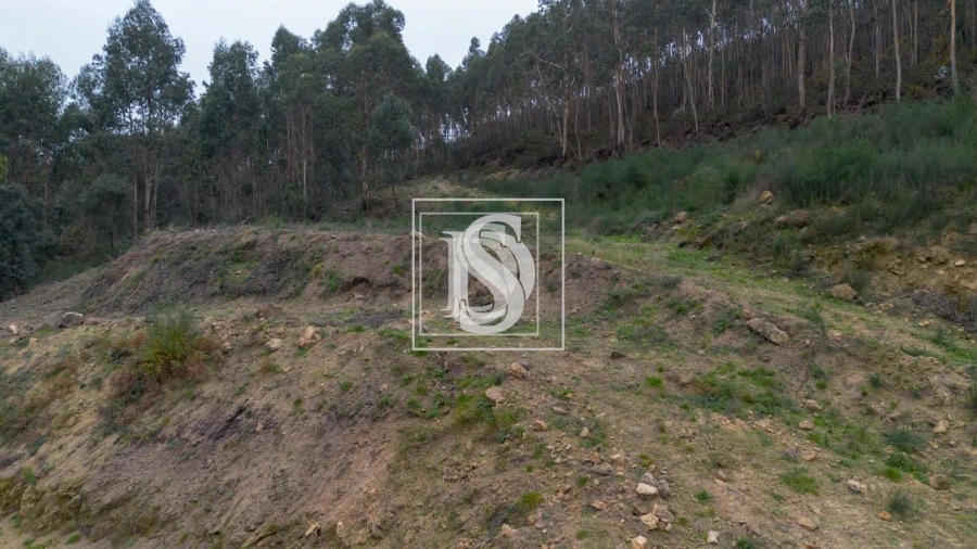 Terreno para Venda em Vandoma Foto 23