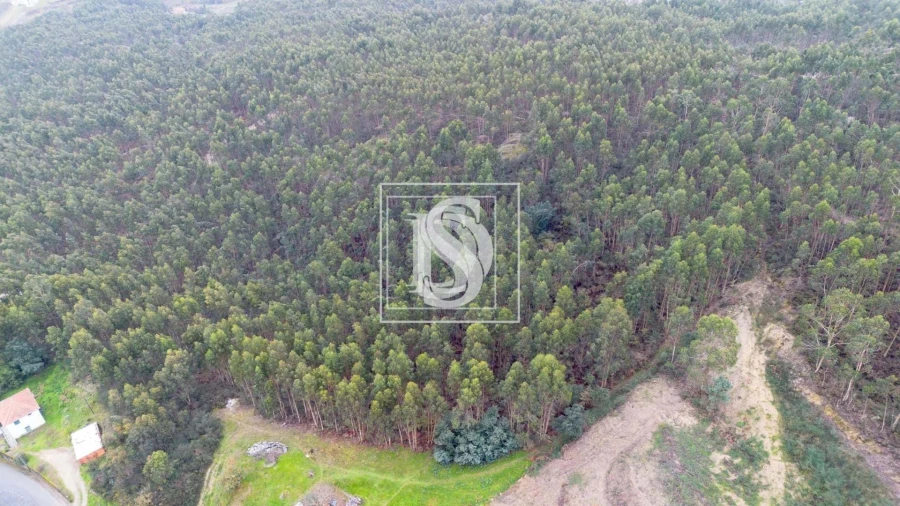 Terreno para Venda em Vandoma Foto 11