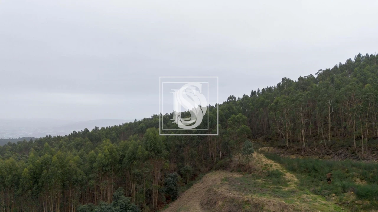 Terreno para Venda em Vandoma Foto 9