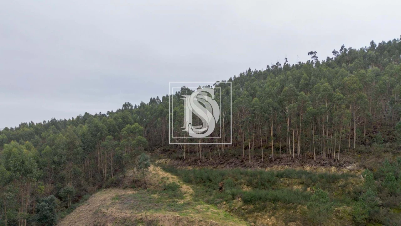 Terreno para Venda em Vandoma Foto 7