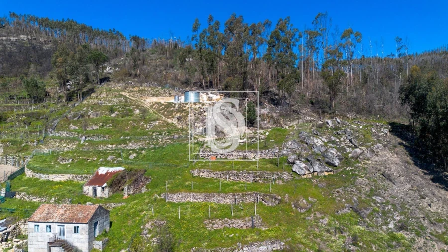 Moradia T3 para Venda em Ancede e Ribadouro Foto 6