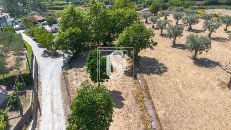 Terreno para Venda em Fregim Foto 6