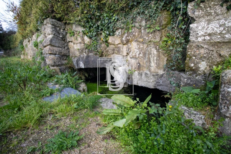 Moradia para Venda em Beire Foto 16