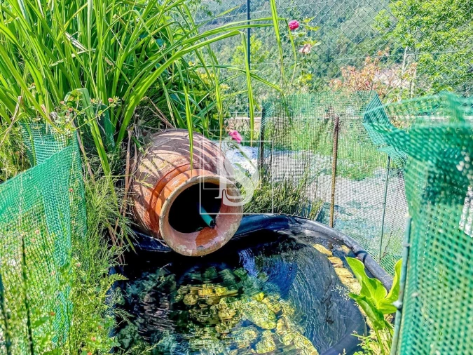 Moradia T2 para Venda em Olo e Canadelo Foto 20