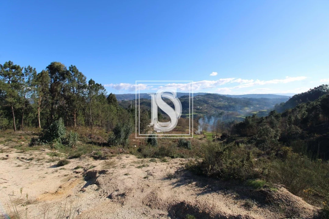 Terreno para Venda em Fregim Foto 7