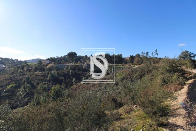 Terreno para Venda em Fregim Foto 6