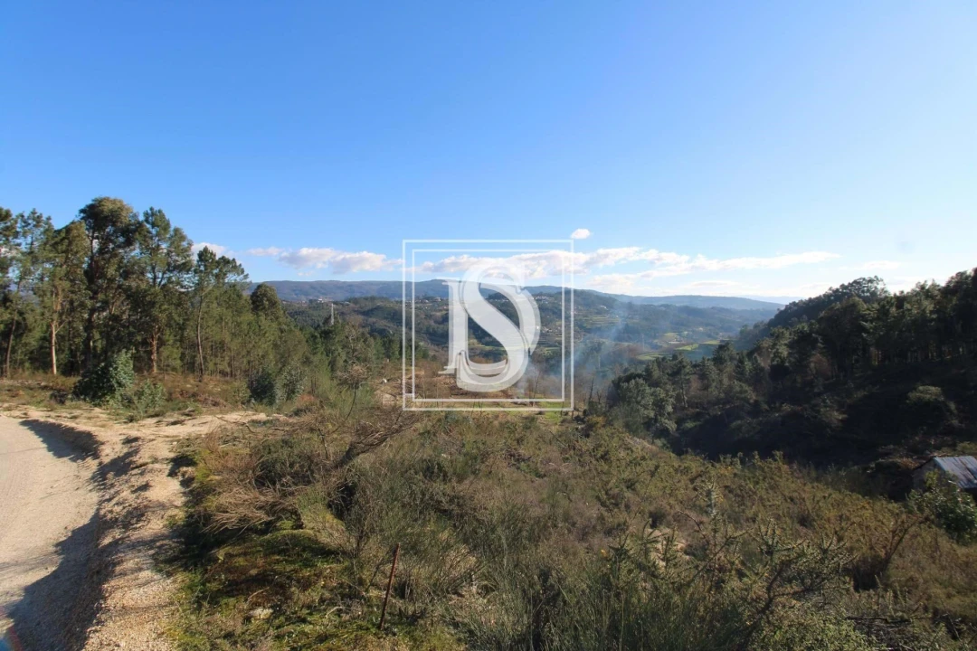 Terreno para Venda em Fregim Foto 5