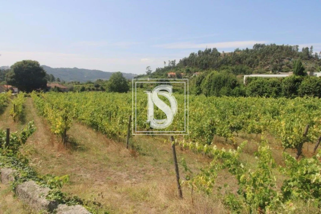 Terreno para Venda em Salvador do Monte Foto 2