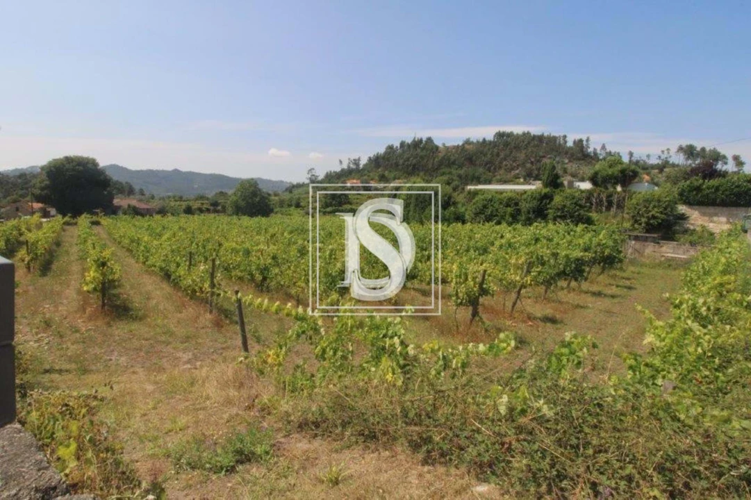 Terreno para Venda em Salvador do Monte Foto 8