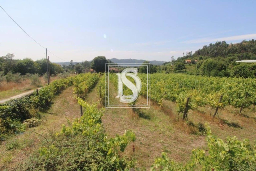 Terreno para Venda em Salvador do Monte Foto 4