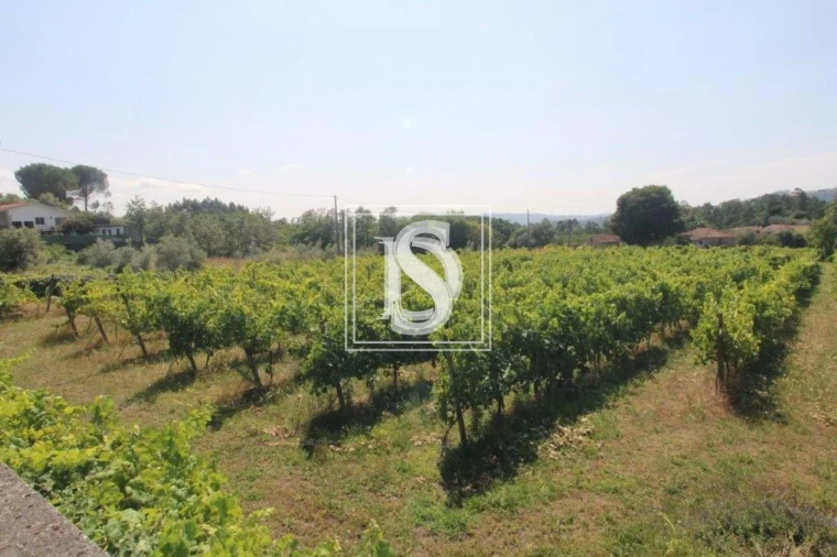 Terreno para Venda em Salvador do Monte Foto 5