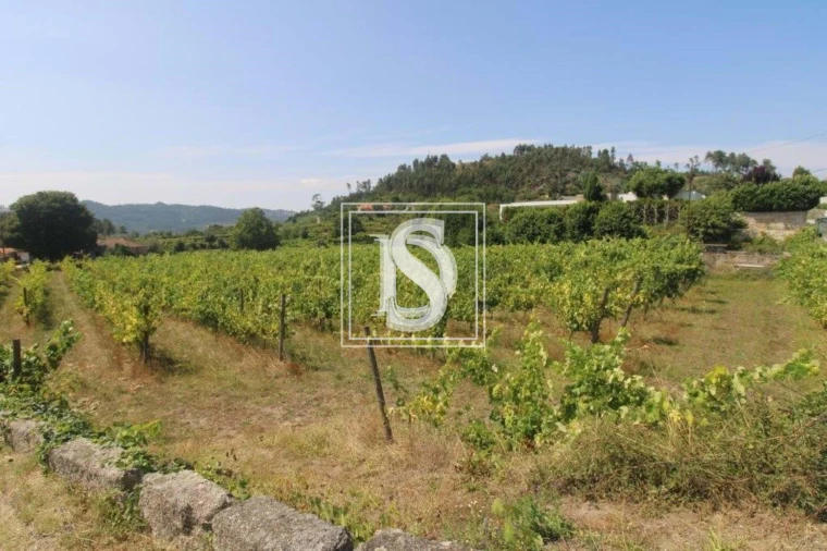 Terreno para Venda em Salvador do Monte Foto 3