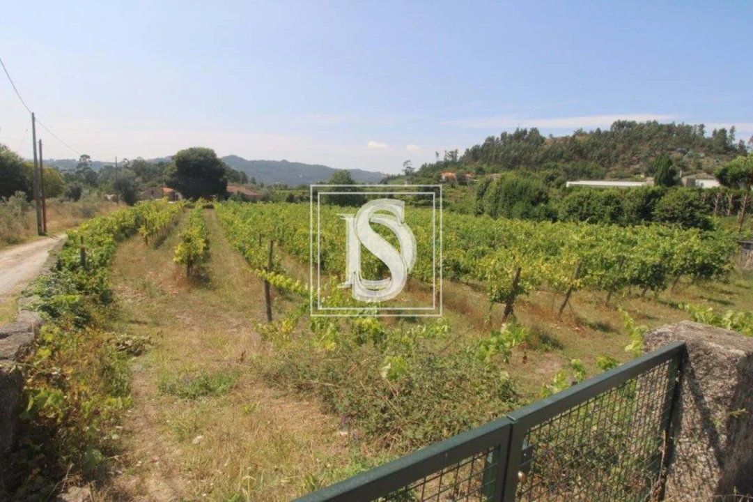 Terreno para Venda em Salvador do Monte Foto 7