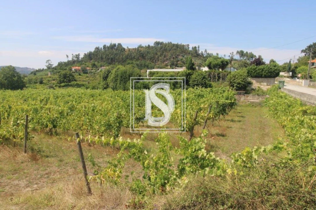 Terreno para Venda em Salvador do Monte Foto 1