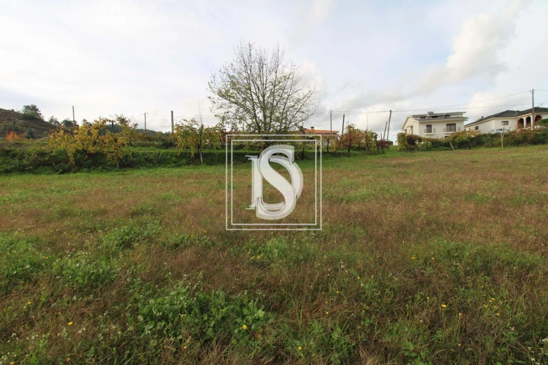 Terreno para Venda em Freixo de Cima e de Baixo Foto 7