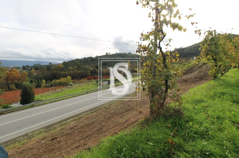 Terreno para Venda em Freixo de Cima e de Baixo Foto 11