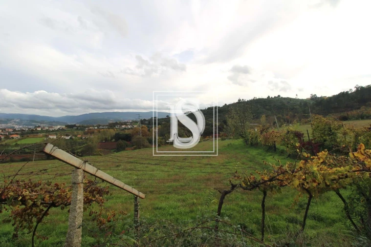 Terreno para Venda em Freixo de Cima e de Baixo Foto 3
