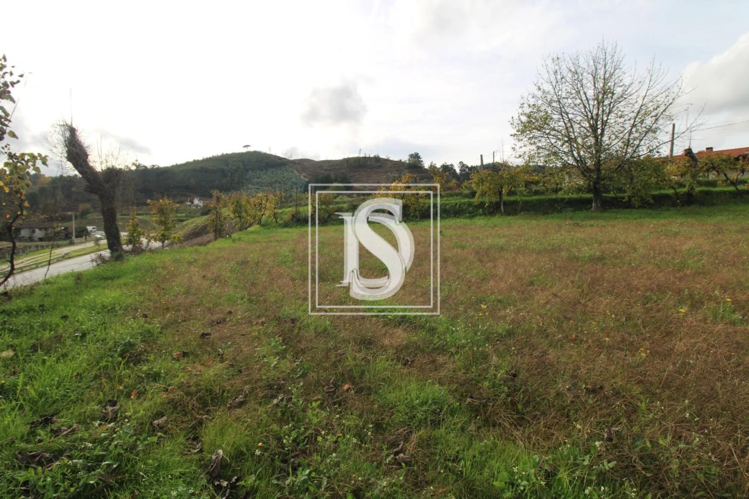 Terreno para Venda em Freixo de Cima e de Baixo Foto 5