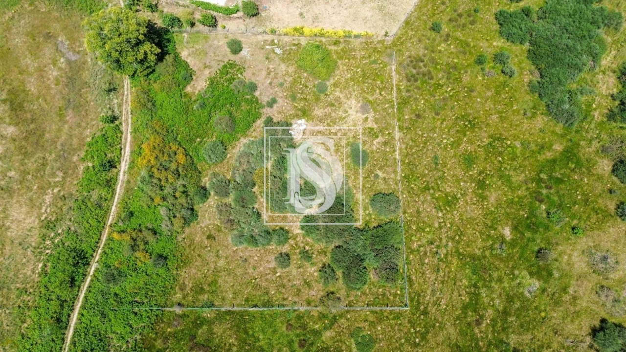 Terreno para Venda em Soalhães Foto 6
