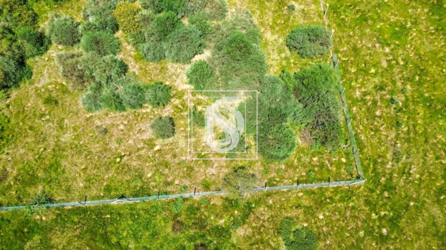 Terreno para Venda em Soalhães Foto 7