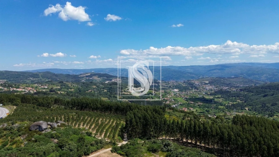 Terreno para Venda em Soalhães Foto 10