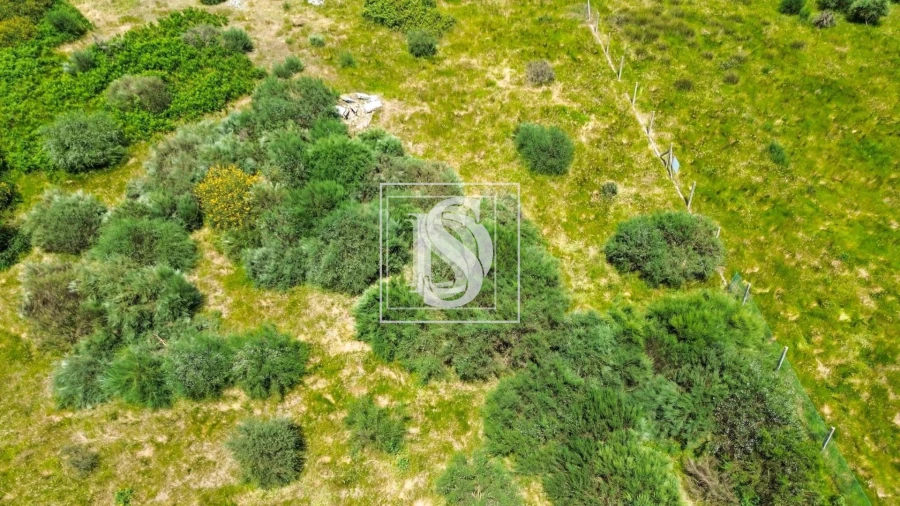 Terreno para Venda em Soalhães Foto 11