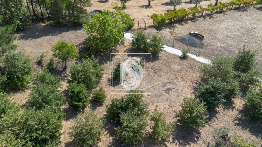 Terreno para Venda em Fregim Foto 2