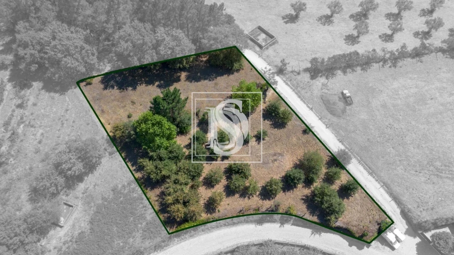 Terreno para Venda em Fregim Foto 3