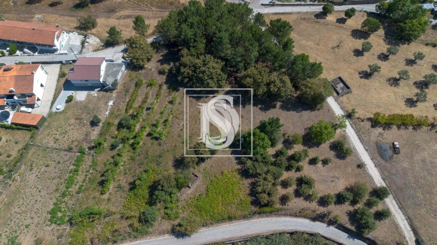 Terreno para Venda em Fregim Foto 5