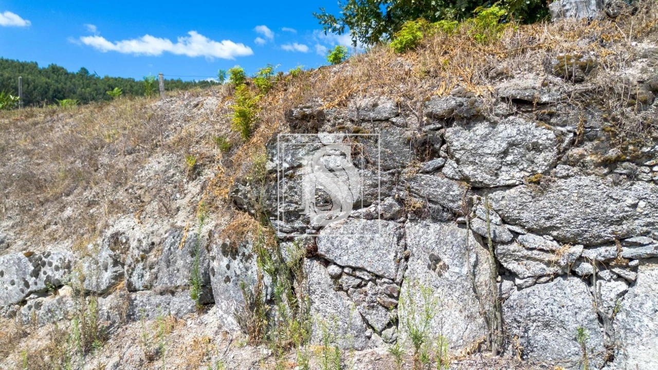 Terreno para Venda em Fregim Foto 8