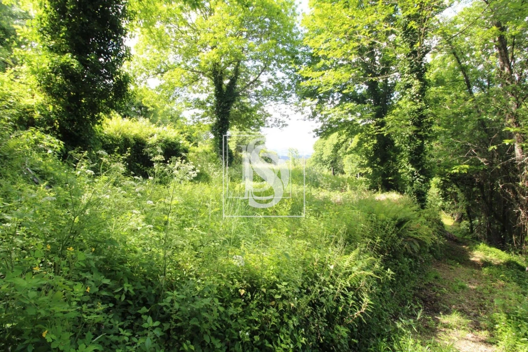 Moradia T2 para Venda em Rebordelo Foto 18