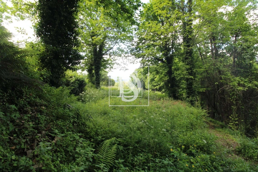 Moradia T2 para Venda em Rebordelo Foto 17