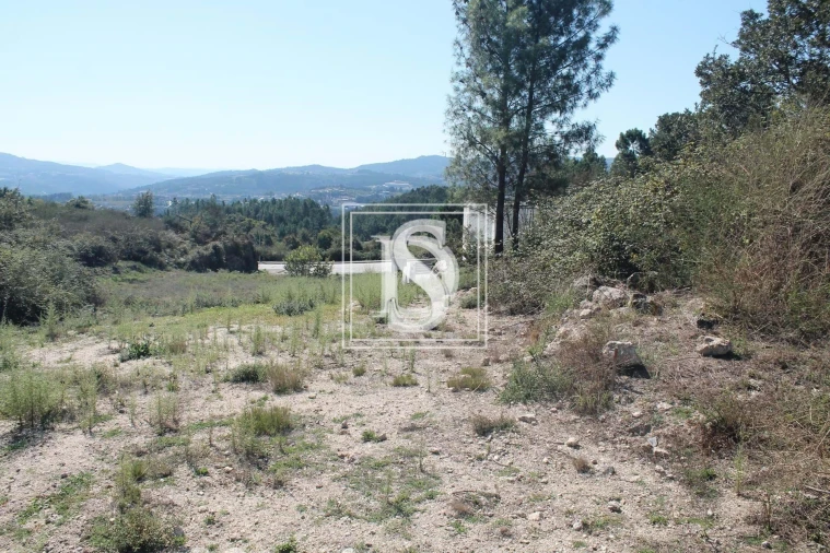 Terreno para Venda em Vila Caiz Foto 6