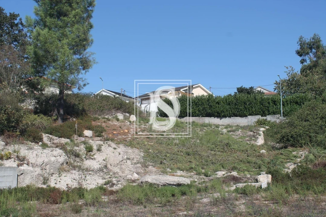 Terreno para Venda em Vila Caiz Foto 8