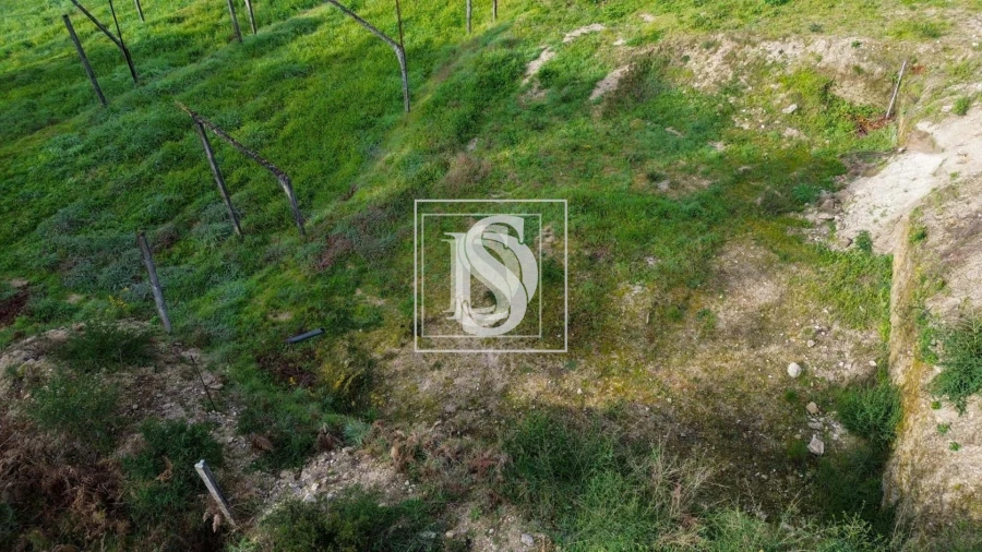 Terreno para Venda em Amarante (São Gonçalo), Madalena, Cepelos e Gatão Foto 3