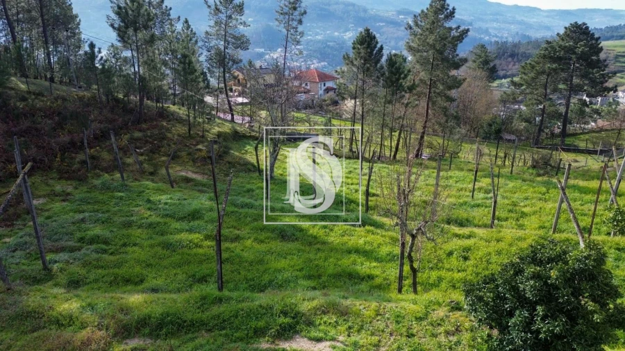 Terreno para Venda em Amarante (São Gonçalo), Madalena, Cepelos e Gatão Foto 5