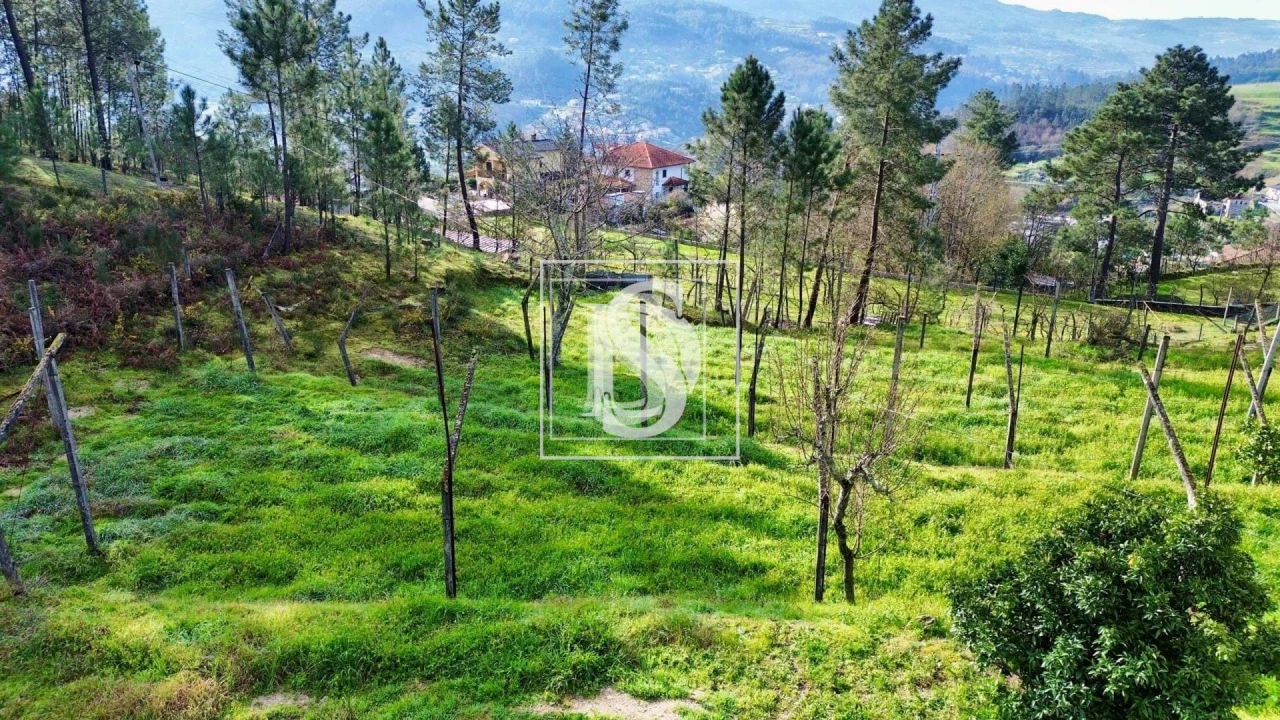 Terreno para Venda em Amarante (São Gonçalo), Madalena, Cepelos e Gatão Foto 1