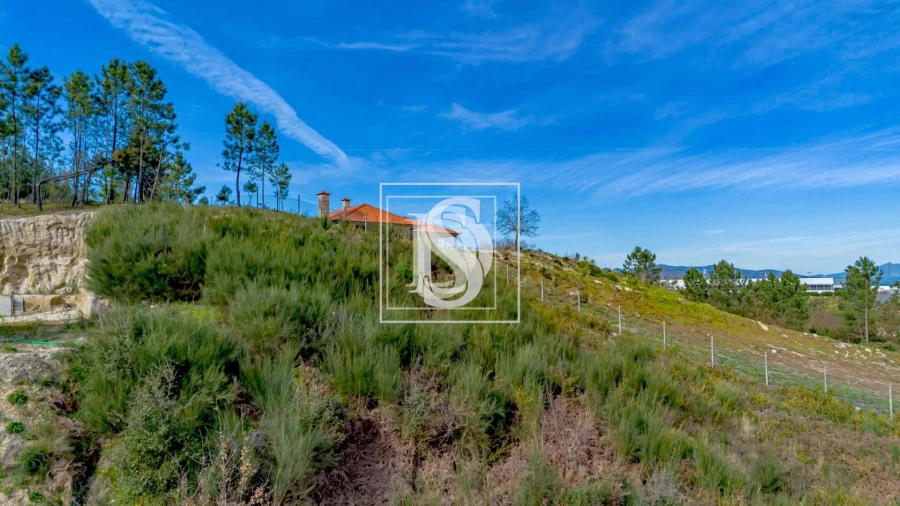 Terreno para Venda em Fregim Foto 7